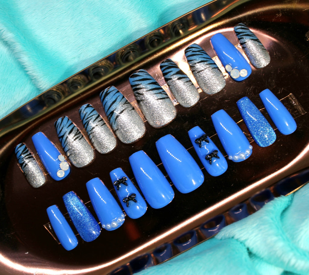 Blue Zebra Dual Pack